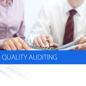 quality auditing